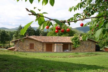Agriturismo La Collina dei Ciliegi