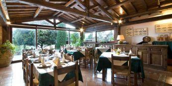 Fattoria di Vibio