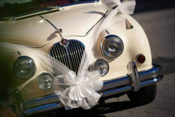 Pheonia Weddings & Events