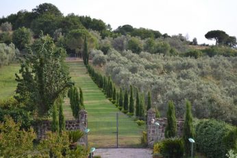 Barone di Brancato
