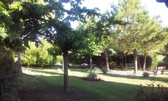 Casolare Marchigiano