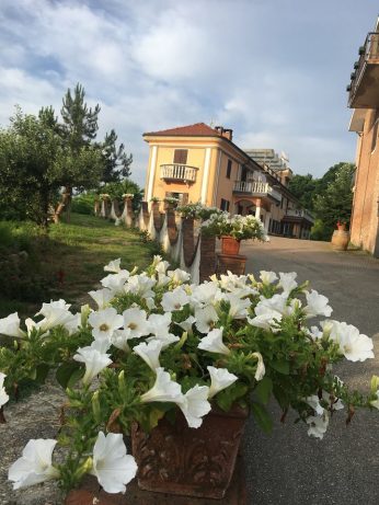 La Villarella dei Tulipani