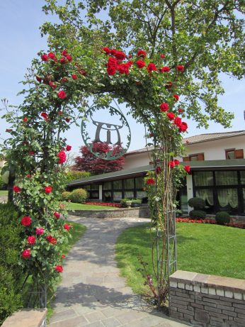 Ristorante Molera