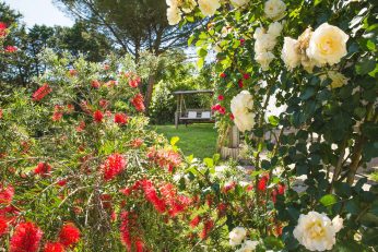 Borgoparvo Countryvilla