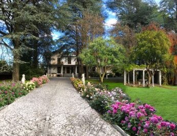 Villa delle Rose