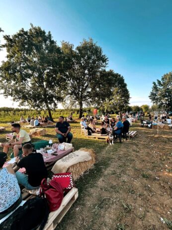 Cherry Arena – L’arena dei ciliegi