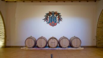 Cantina D’Erasmo
