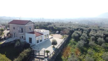 DCIM106MEDIADJI_0787.JPG