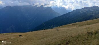 Restor Natura Malga Mondent