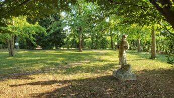 Parco ai Carpini