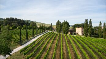 Tenuta Santi Giacomo e Filippo