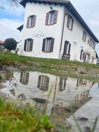 La nuova brocca