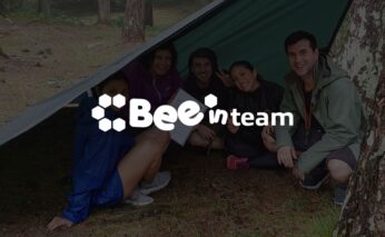 Bee in Team