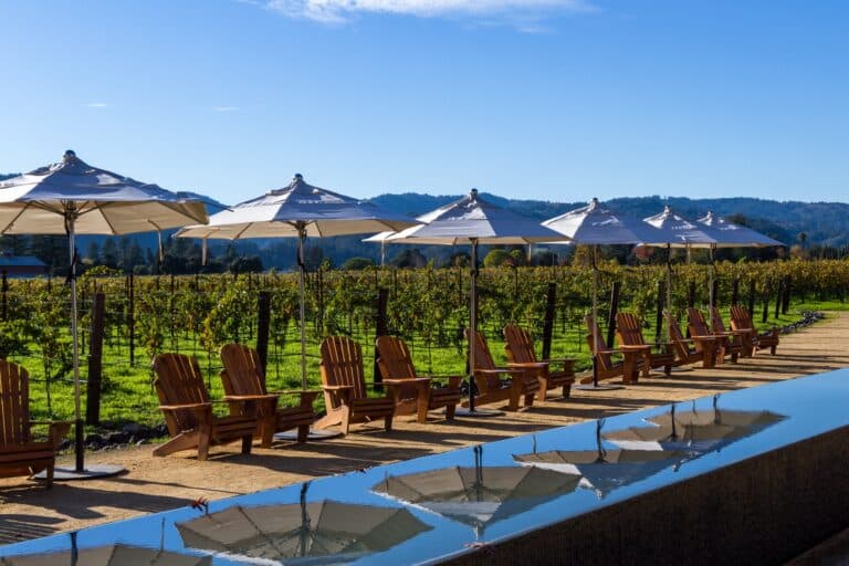 Agriturismo con piscina, area relax e vista sui vigneti immersi nella natura