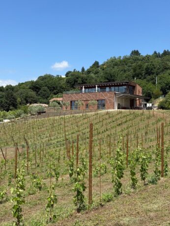 Tenuta Maule